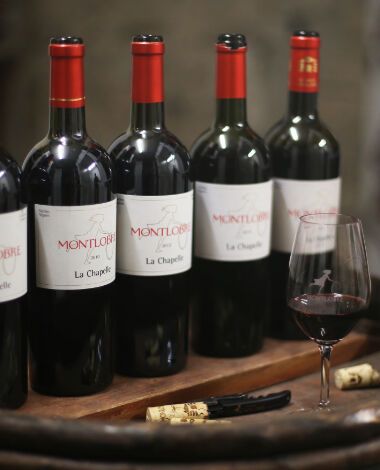 Les vins de Montlobre